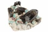 Amazonite Crystal Cluster with Smoky Quartz Crystals - Colorado #234655-3